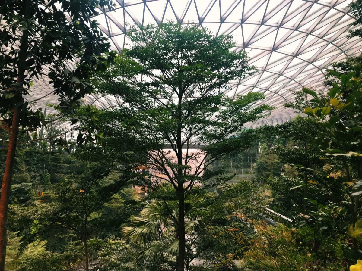 Yotelair Singapore Changi Airport Landside Экстерьер фото